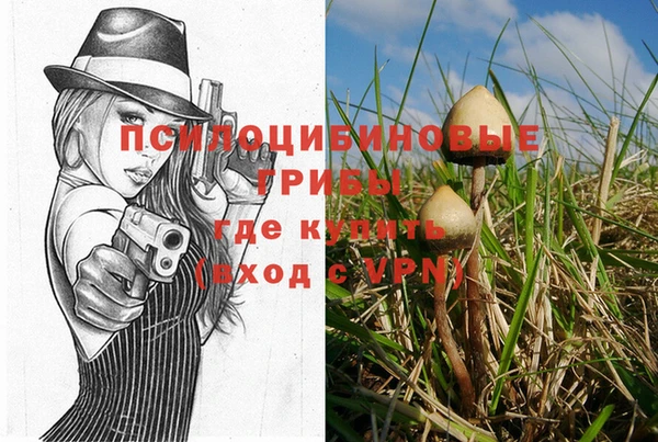 ПСИЛОЦИБИНОВЫЕ ГРИБЫ Наволоки