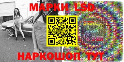 шишки Аргун