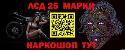 шишки Аргун