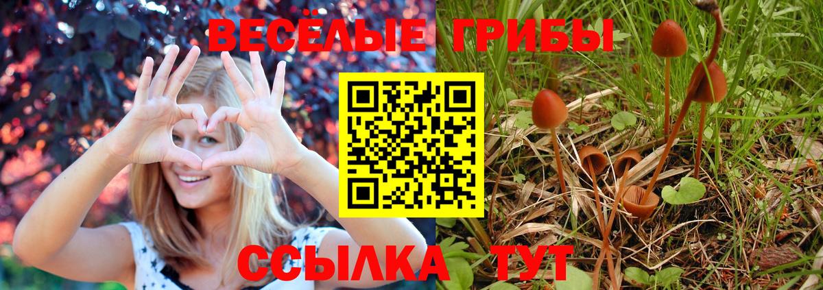 Галлюциногенные грибы GOLDEN TEACHER Канск