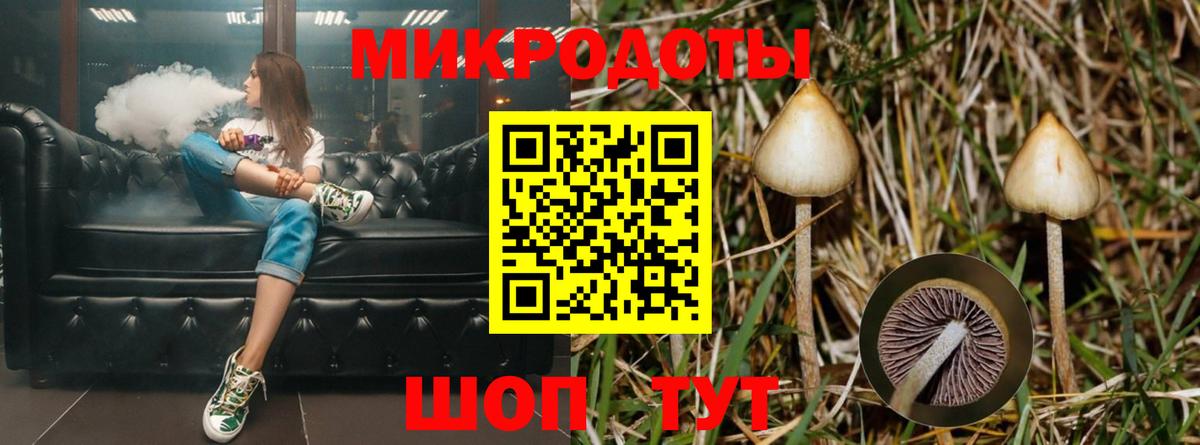 Канск  Галлюциногенные грибы ЛСД  Вход с VPN 