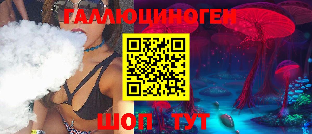 Псилоцибиновые грибы Psilocybine cubensis  Канск 